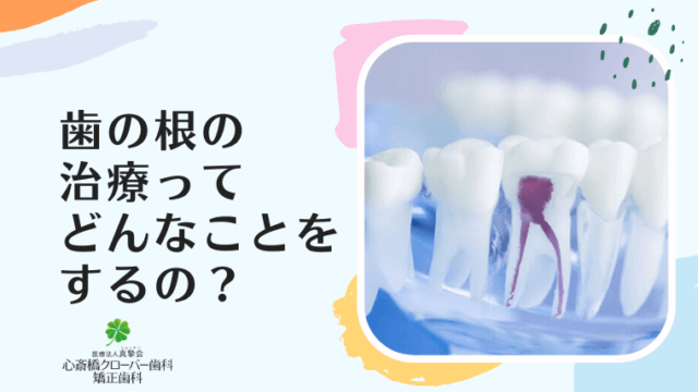 歯の根の治療ってどんなことをするの？