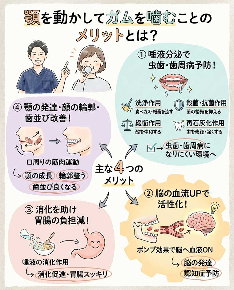 顎を動かしてガムを噛むことのメリットとは？の図解