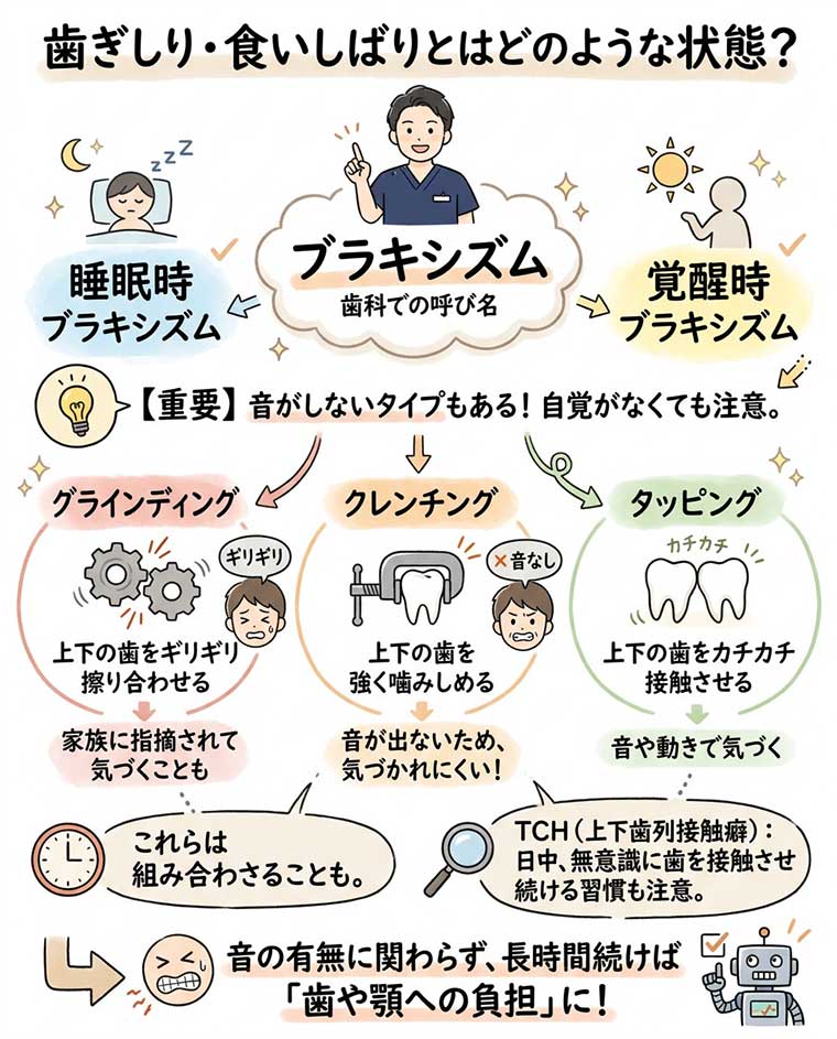 歯ぎしり・食いしばりとはどのような状態?の図解