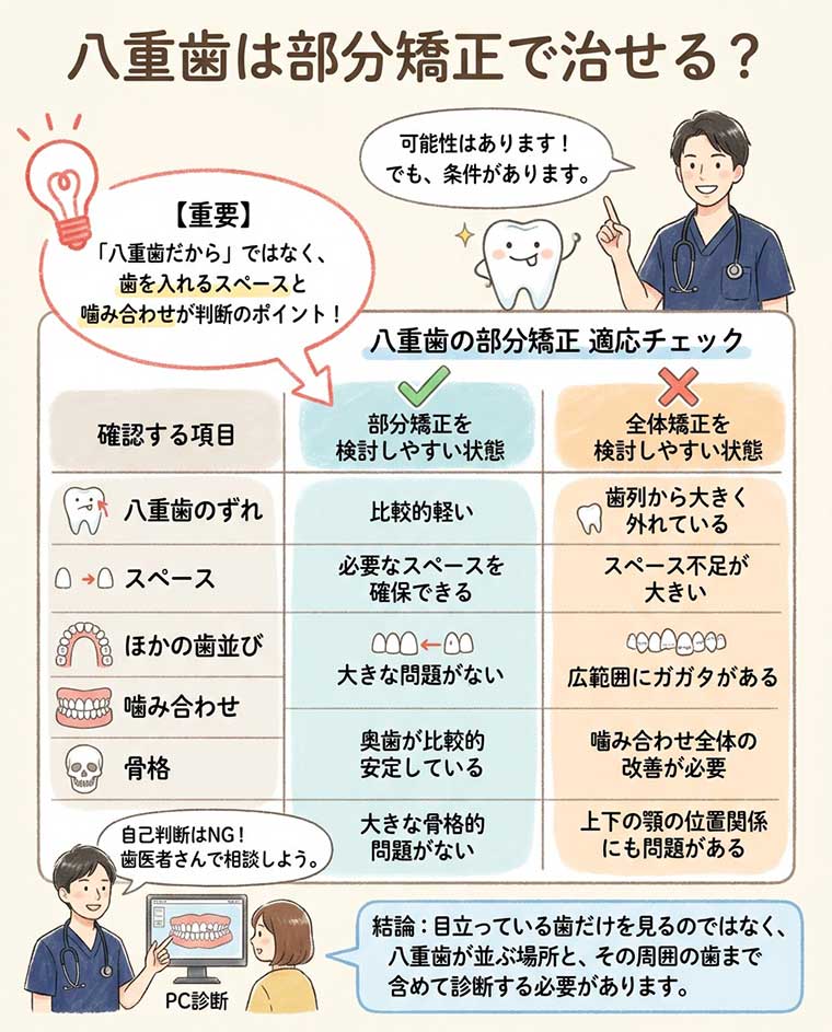 八重歯は部分矯正で治せる？の図解