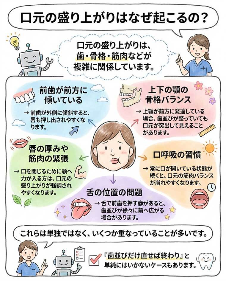 口元の盛り上がりはなぜ起こるの?の図解